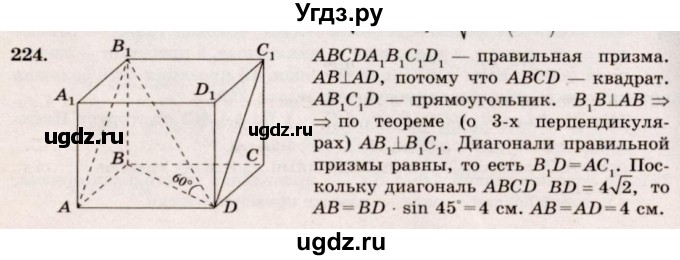 ГДЗ (Решебник №4) по геометрии 10 класс Атанасян Л.С. / задание / 224