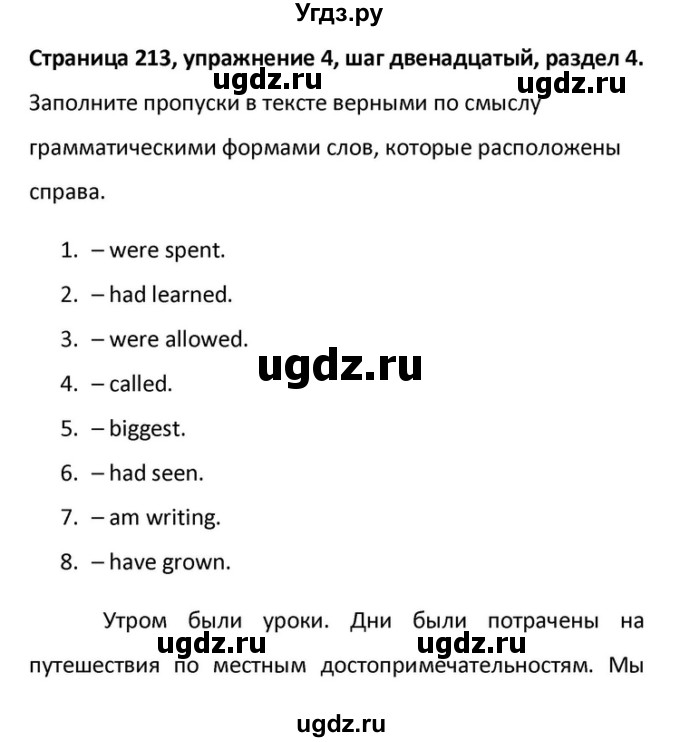 ГДЗ (Решебник) по английскому языку 10 класс (Радужный английский) Афанасьева О.В. / страница-№ / 213