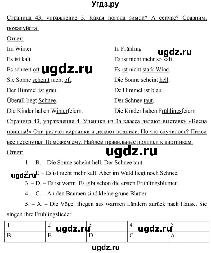 ГДЗ (Решебник №1) по немецкому языку 3 класс И.Л. Бим / часть 2. страница номер / 43(продолжение 2)