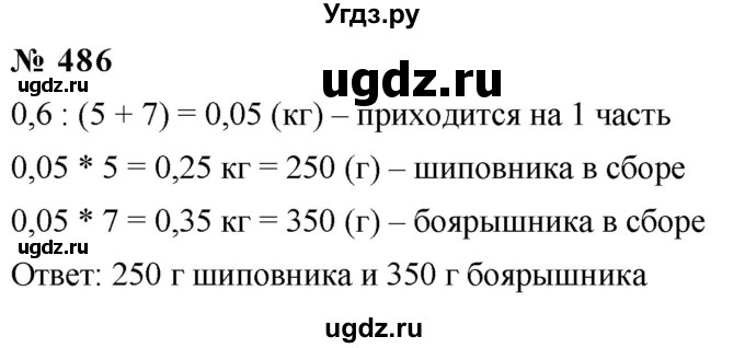 ГДЗ (Решебник к учебнику 2020) по математике 6 класс Г.В. Дорофеев / номер / 486