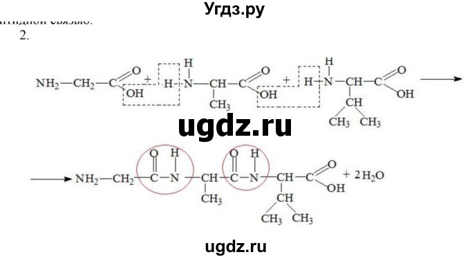 ГДЗ (Решебник № 1) по химии 9 класс Кузнецова Н.Е. / параграф / § 51 / 2