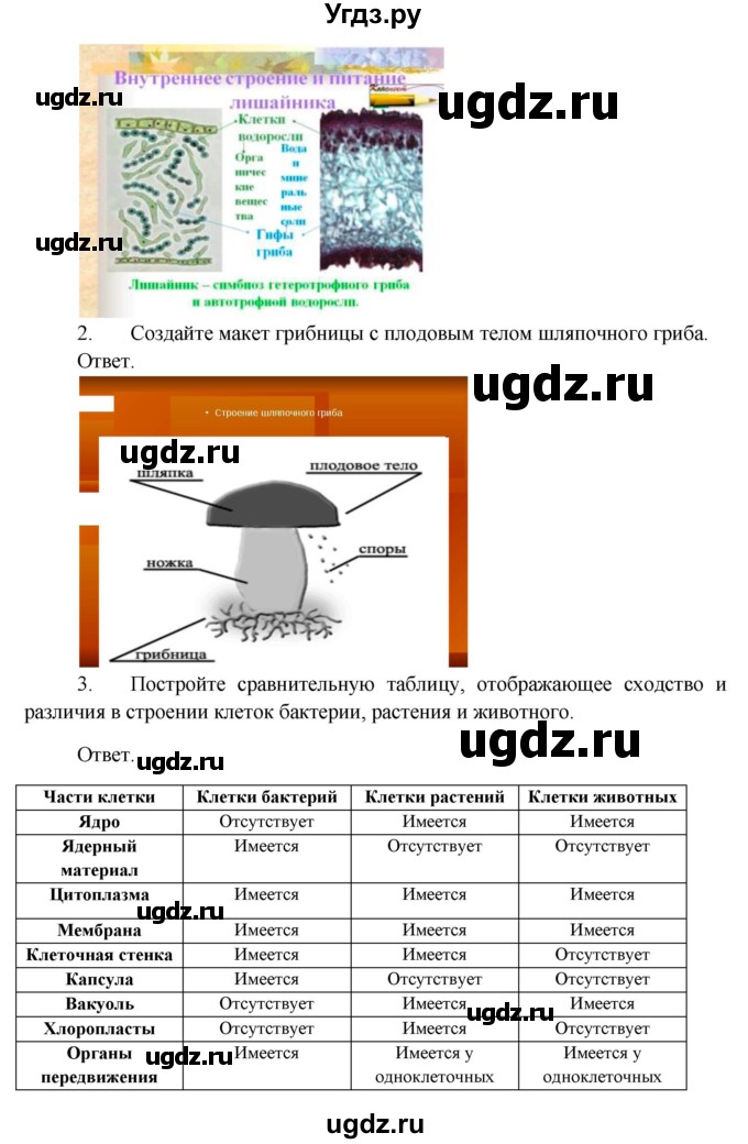 ГДЗ (Решебник) по биологии 5 класс Пономарева И.Н. / подведем итоги / итоги после 16§ / Работа с моделями(продолжение 2)