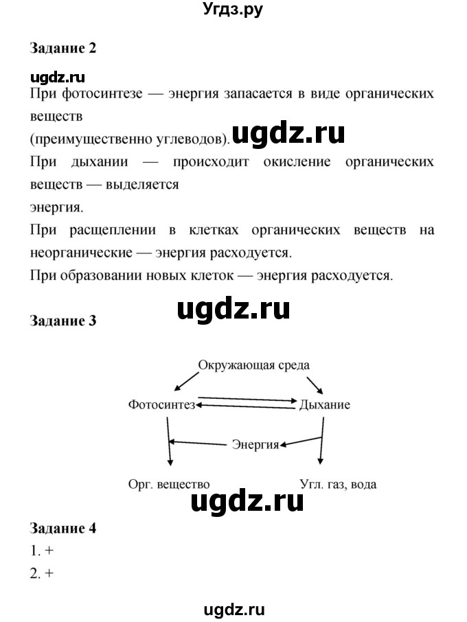 ГДЗ (Решебник) по биологии 6 класс (рабочая тетрадь) Пономарева И.Н. / часть 1 страница-№ / 37(продолжение 2)
