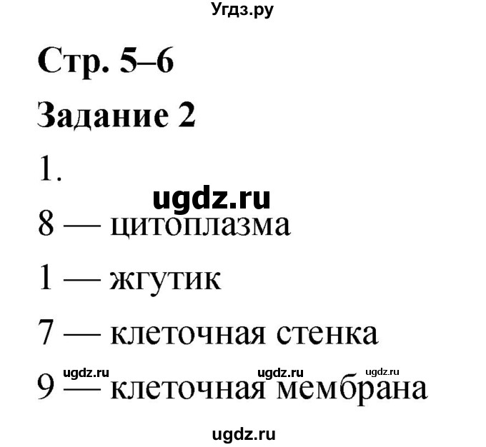 ГДЗ (Решебник) по биологии 6 класс (рабочая тетрадь) Пономарева И.Н. / часть 2 страница-№ / 5