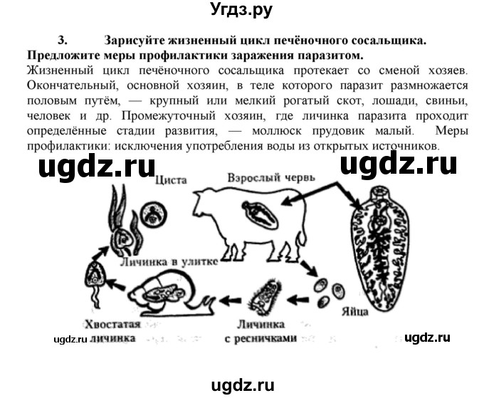 ГДЗ (Решебник) по биологии 7 класс В.Б. Захаров / Тип Плоские черви / 3