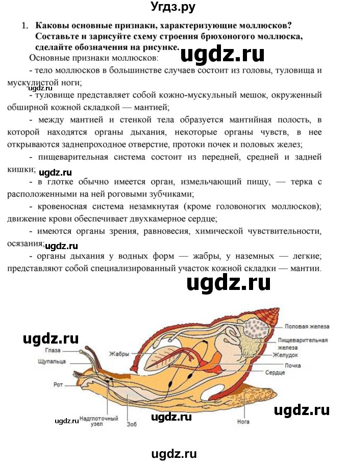 ГДЗ (Решебник) по биологии 7 класс В.Б. Захаров / Тип Моллюски / 1