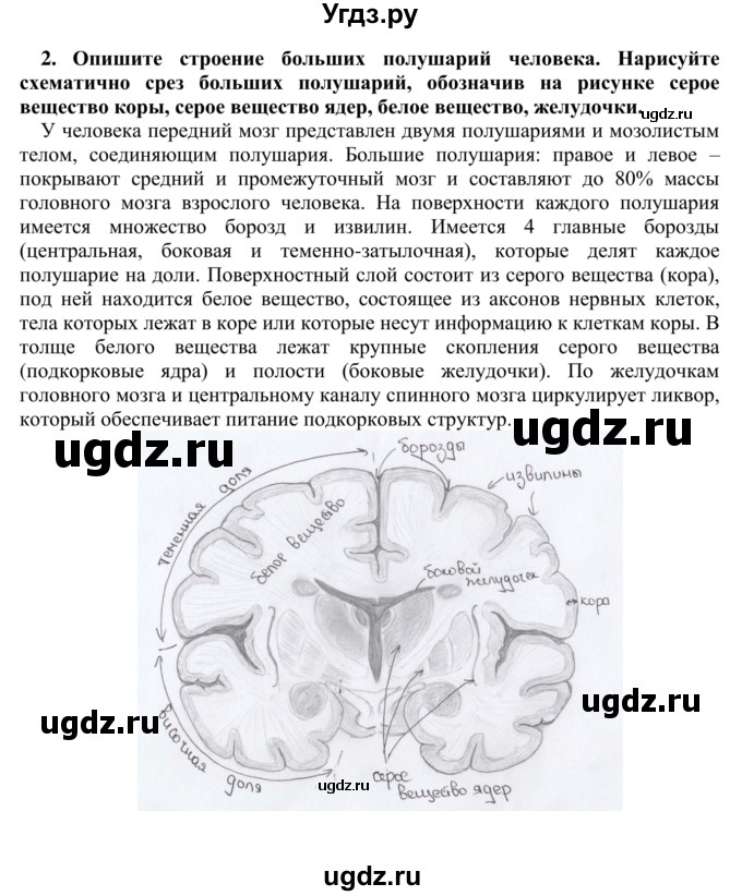 ГДЗ (Решебник) по биологии 9 класс Сапин М.Р. / Полушария большого мозга / 2