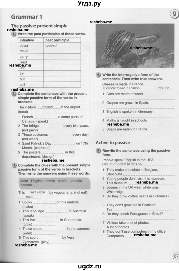ГДЗ (Учебник) по английскому языку 8 класс (рабочая тетрадь) Комарова Ю.А. / страница номер / 87