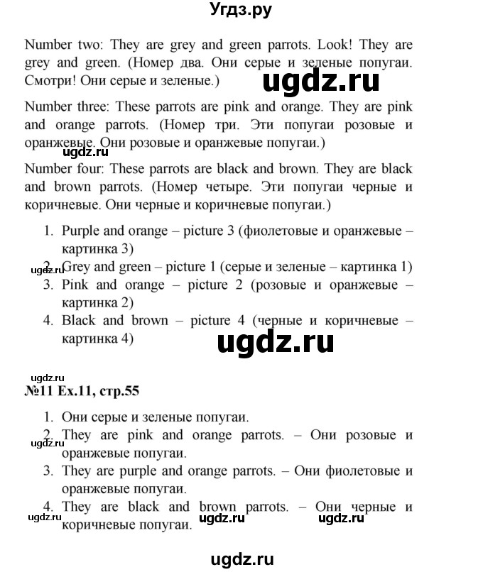 ГДЗ (Решебник) по английскому языку 2 класс Комарова Ю.А. / страница / 55(продолжение 2)