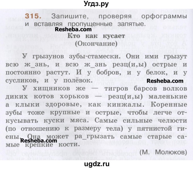 ГДЗ (Учебник) по русскому языку 4 класс Репкин В.В. / упражнение / 315