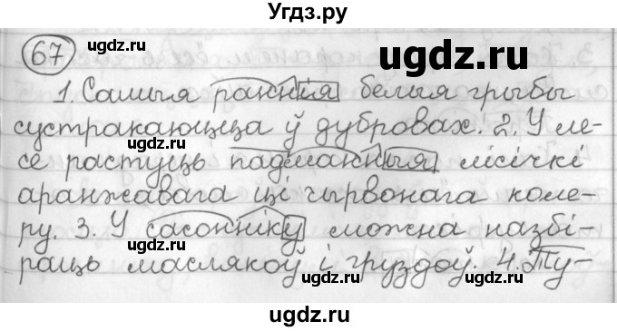 ГДЗ (Решебник) по белорусскому языку 3 класс Свириденко В.И. / часть 2. упражнение-№ / 67