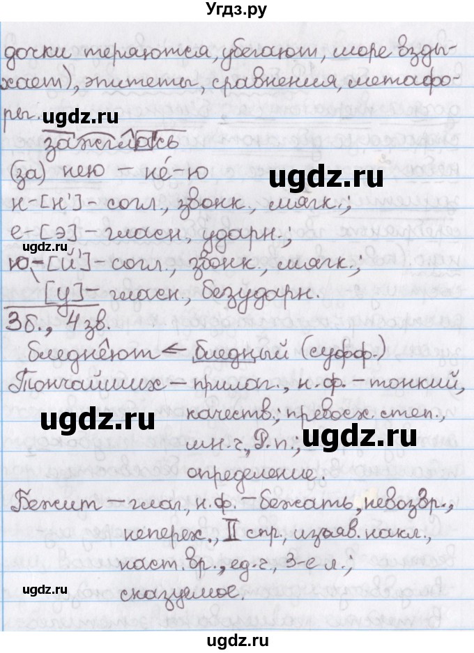 ГДЗ (Решебник №1) по русскому языку 11 класс Л.A. Мурина / упражнение номер / 25(продолжение 3)