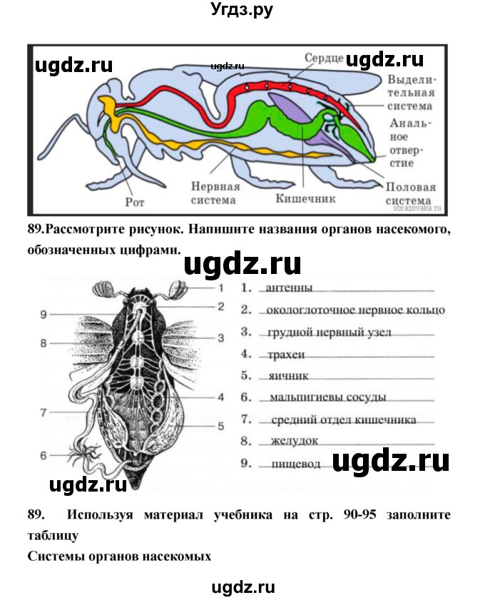 ГДЗ (Решебник) по биологии 8 класс (рабочая тетрадь) Захаров В.Б. / страница-№ / 56–63(продолжение 3)