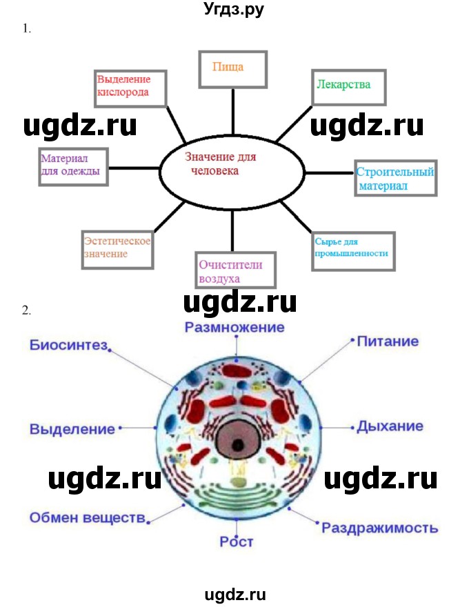 ГДЗ (Решебник) по биологии 6 класс Пономарева И.Н. / страница-№ / 27(продолжение 4)
