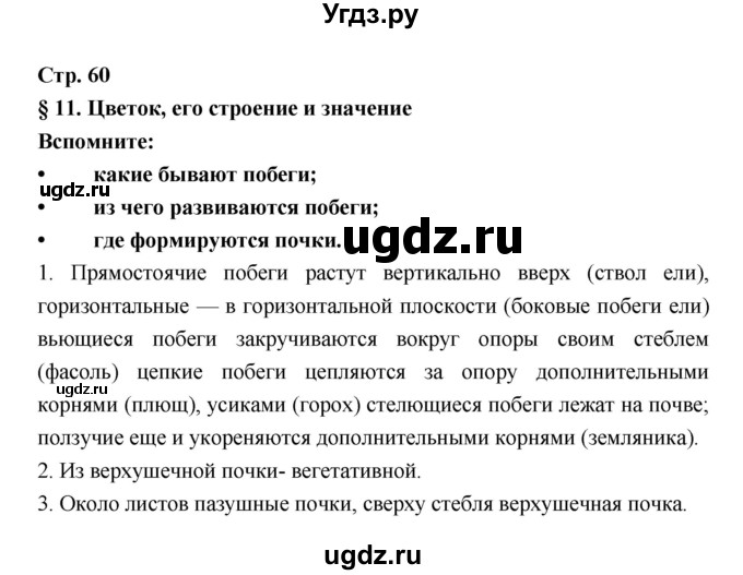 ГДЗ (Решебник) по биологии 6 класс Пономарева И.Н. / страница-№ / 60