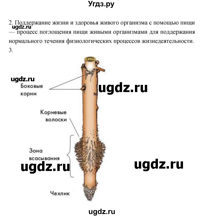 ГДЗ (Решебник) по биологии 6 класс Пономарева И.Н. / страница-№ / 74(продолжение 2)