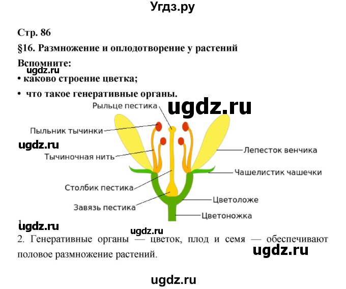 ГДЗ (Решебник) по биологии 6 класс Пономарева И.Н. / страница-№ / 86