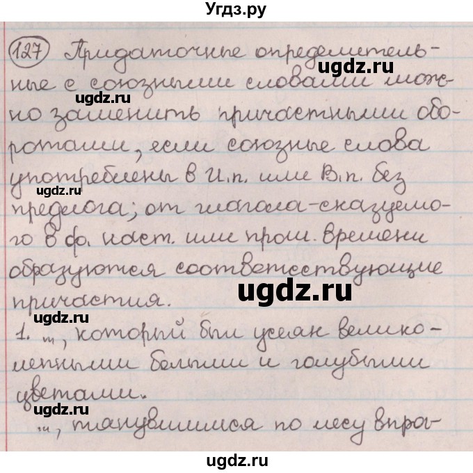 ГДЗ (Решебник №1) по русскому языку 9 класс Л.A. Мурина / упражнение / 127