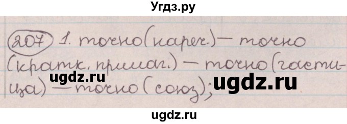 ГДЗ (Решебник №1) по русскому языку 9 класс Л.A. Мурина / упражнение / 207