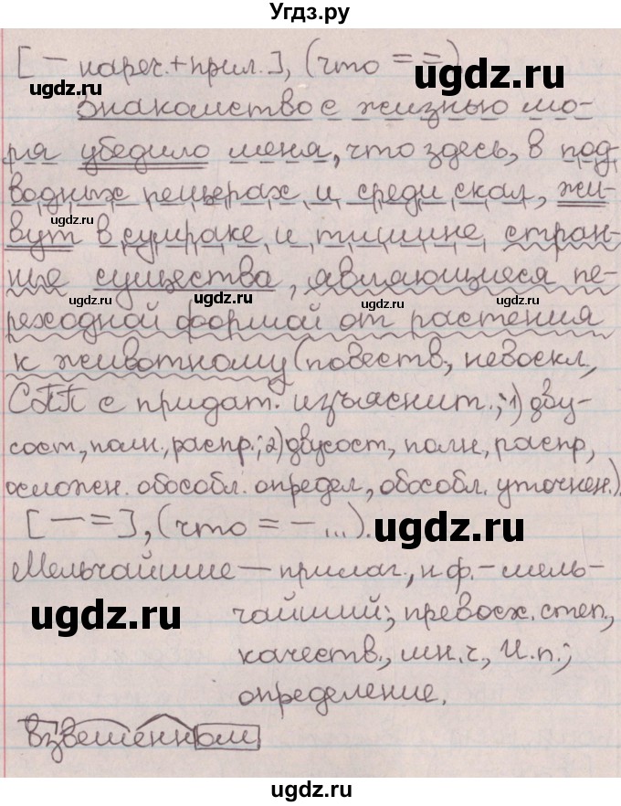 ГДЗ (Решебник №1) по русскому языку 9 класс Л.A. Мурина / упражнение / 216(продолжение 3)