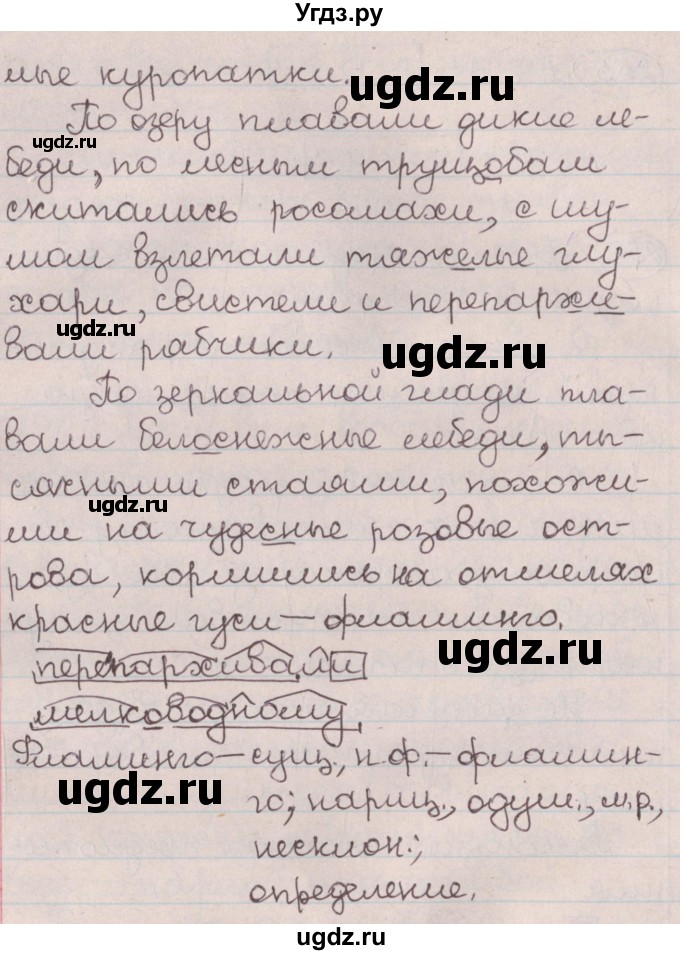 ГДЗ (Решебник №1) по русскому языку 9 класс Л.A. Мурина / упражнение / 256(продолжение 2)