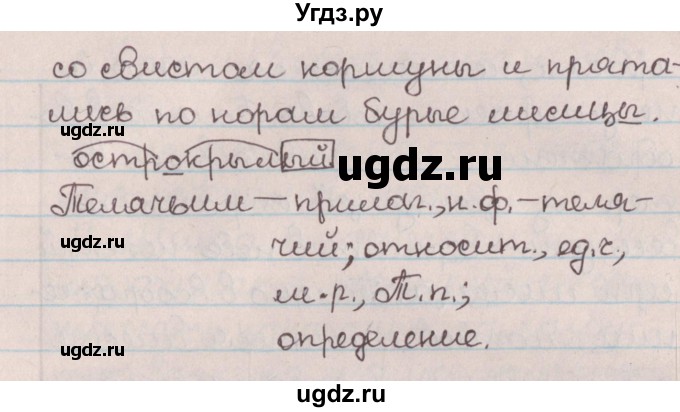 ГДЗ (Решебник №1) по русскому языку 9 класс Л.A. Мурина / упражнение / 55(продолжение 2)