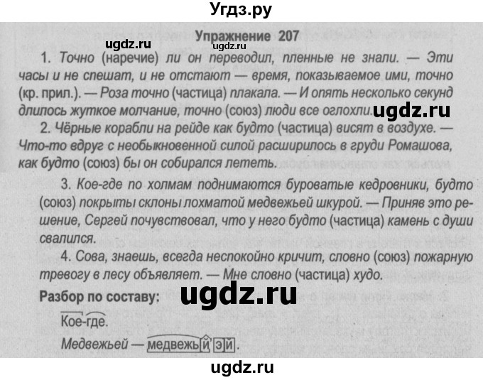 ГДЗ (Решебник №2) по русскому языку 9 класс Л.A. Мурина / упражнение / 207