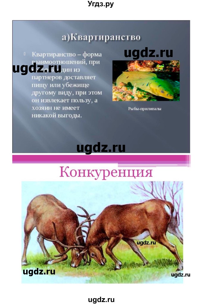 ГДЗ (Решебник) по биологии 9 класс (рабочая тетрадь) Пономарева И.Н. / страница номер / 128(продолжение 5)