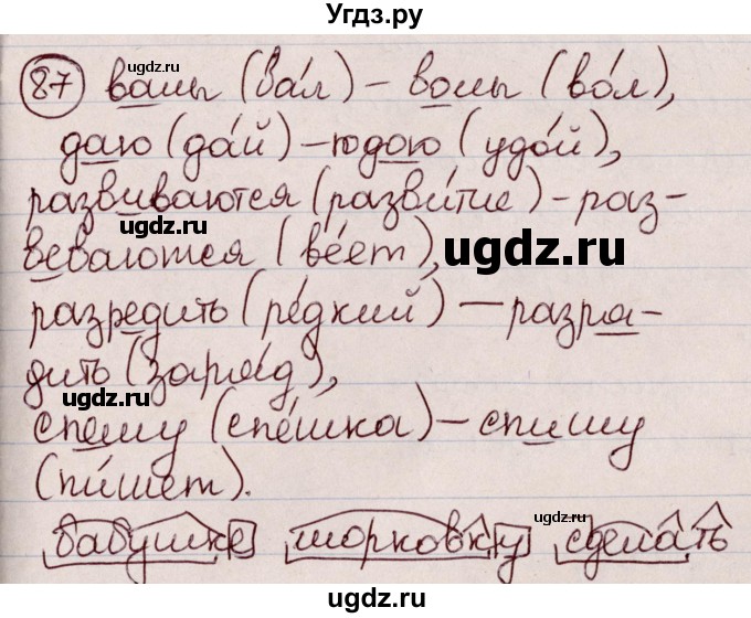 ГДЗ (Решебник к учебнику 2020) по русскому языку 6 класс Л. A. Мурина / упражнение / 87