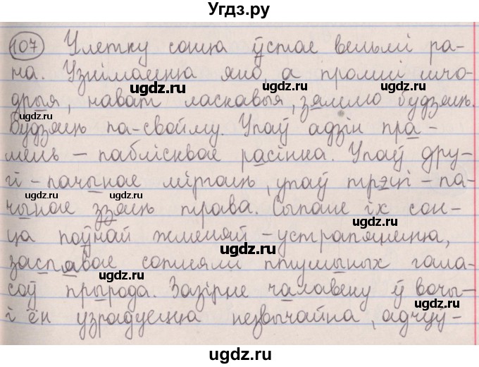 ГДЗ (Решебник №1) по белорусскому языку 5 класс Красней В. П. / часть 2 / упражнение номер / 107