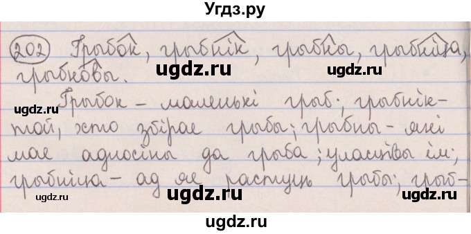 ГДЗ (Решебник №1) по белорусскому языку 5 класс Красней В. П. / часть 2 / упражнение номер / 202