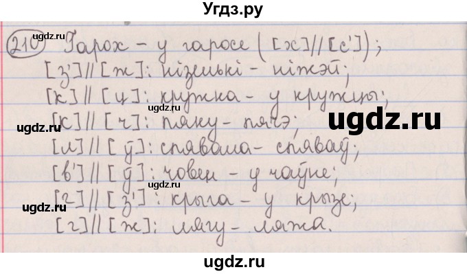 ГДЗ (Решебник №1) по белорусскому языку 5 класс Красней В. П. / часть 2 / упражнение номер / 210