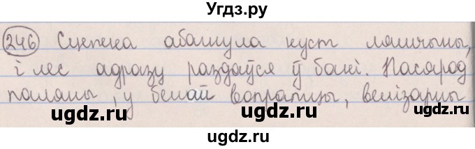 ГДЗ (Решебник №1) по белорусскому языку 5 класс Красней В. П. / часть 2 / упражнение номер / 246