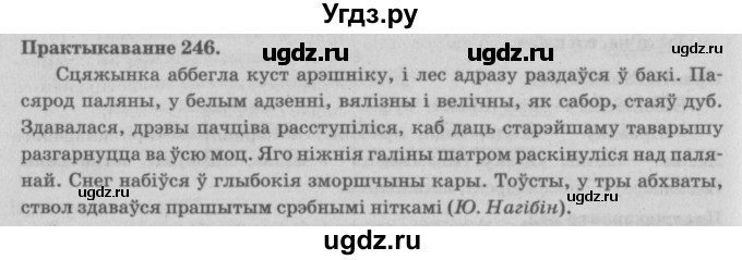 ГДЗ (Решебник №4) по белорусскому языку 5 класс Красней В. П. / часть 2 / упражнение номер / 246