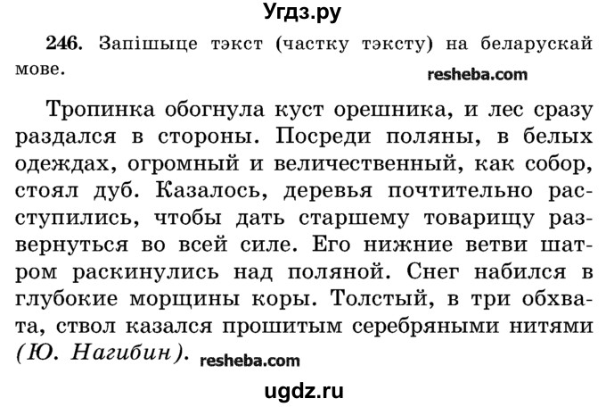ГДЗ (Учебник) по белорусскому языку 5 класс Красней В. П. / часть 2 / упражнение номер / 246