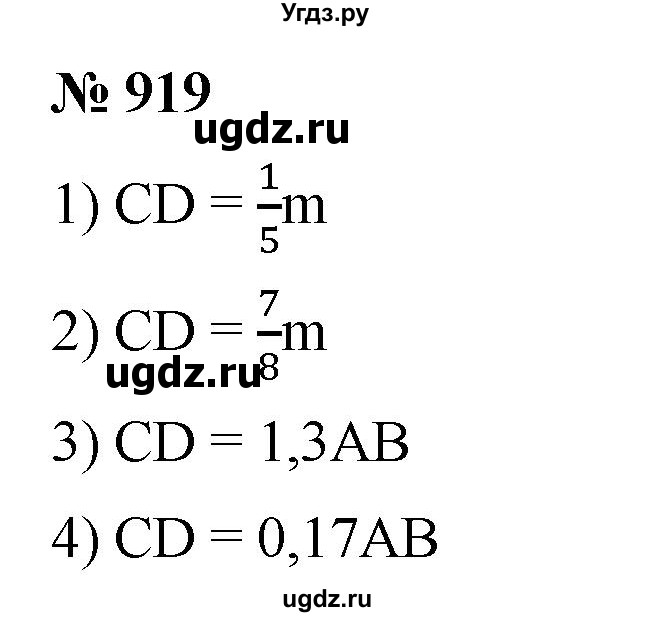 ГДЗ (Решебник) по математике 6 класс Ткачева М.В. / упражнение номер / 919