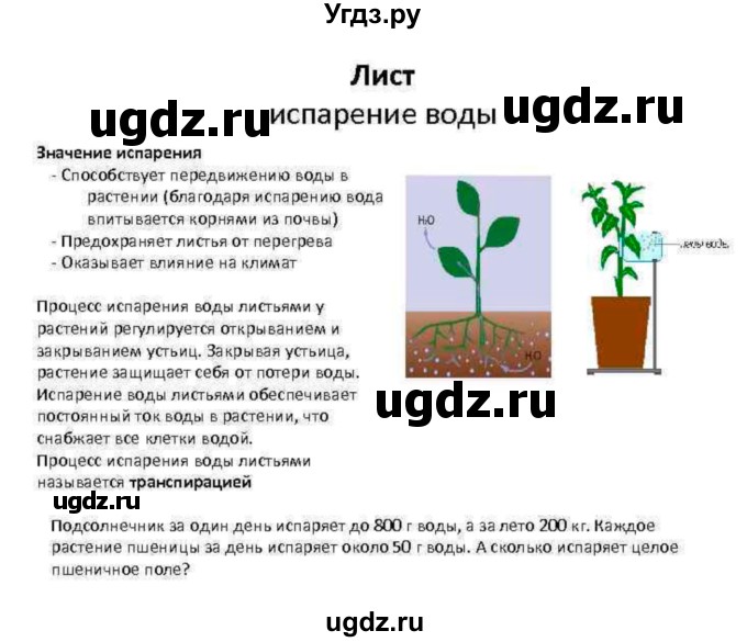 ГДЗ (Решебник 1) по биологии 7 класс Пономарева И.Н. / параграф номер / 17(продолжение 2)
