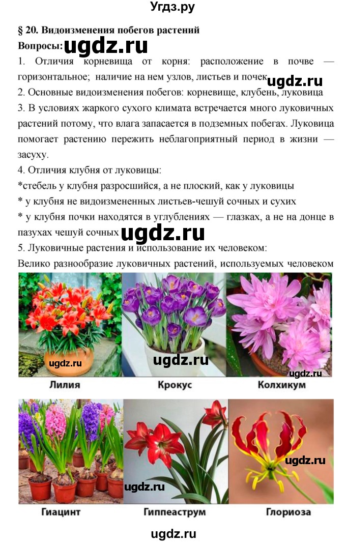 ГДЗ (Решебник 1) по биологии 7 класс Пономарева И.Н. / параграф номер / 20