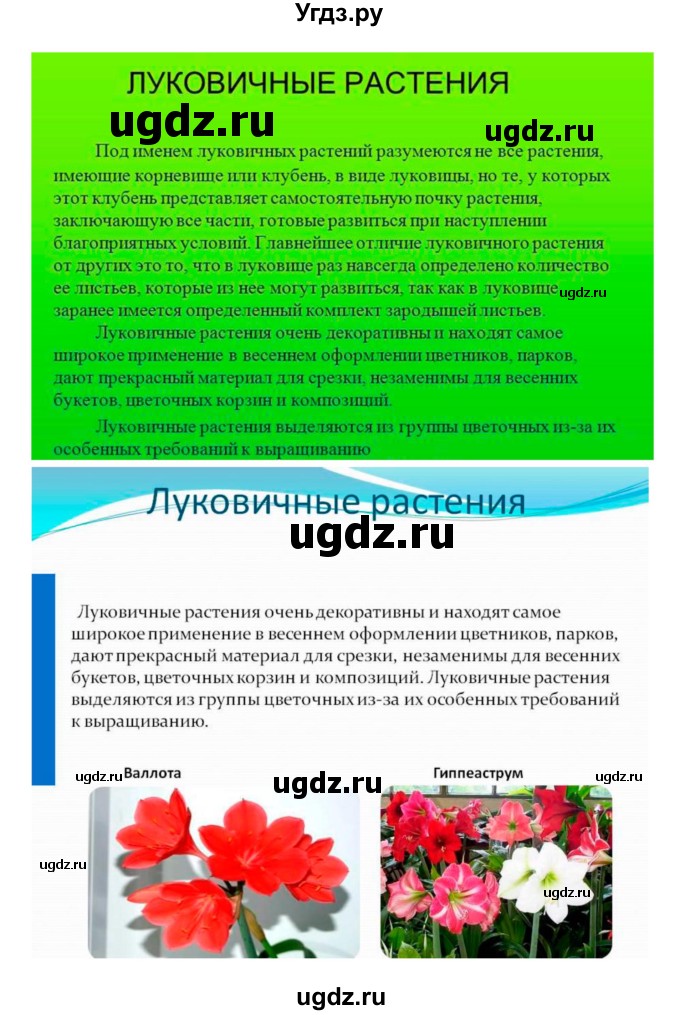 ГДЗ (Решебник 1) по биологии 7 класс Пономарева И.Н. / параграф номер / 20(продолжение 3)