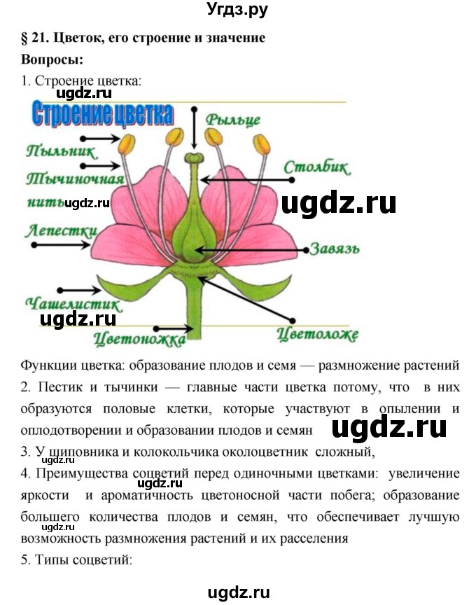 ГДЗ (Решебник 1) по биологии 7 класс Пономарева И.Н. / параграф номер / 21