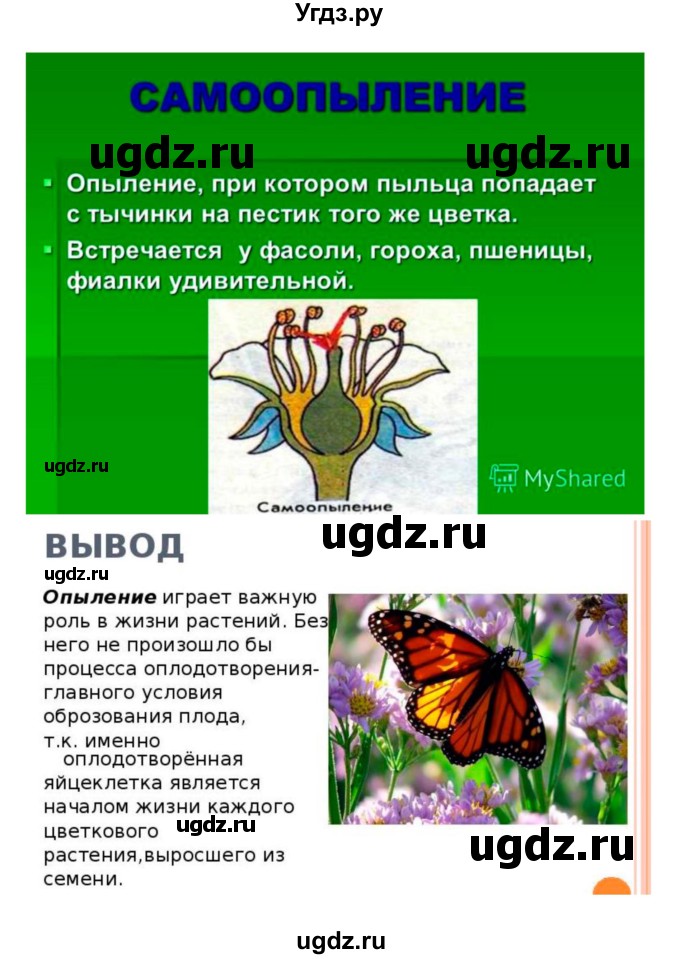 ГДЗ (Решебник 1) по биологии 7 класс Пономарева И.Н. / параграф номер / 22(продолжение 4)