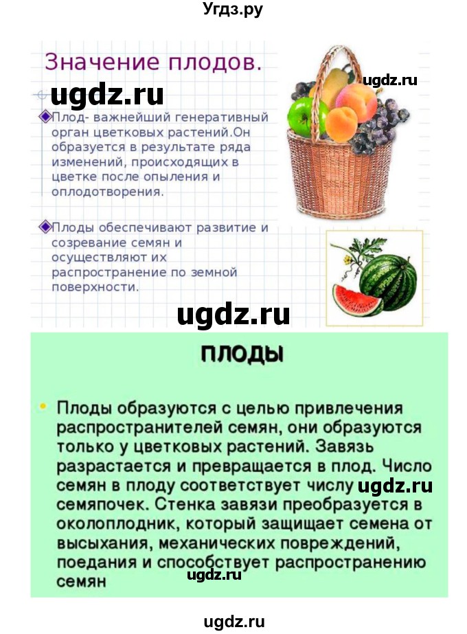 ГДЗ (Решебник 1) по биологии 7 класс Пономарева И.Н. / параграф номер / 23(продолжение 3)