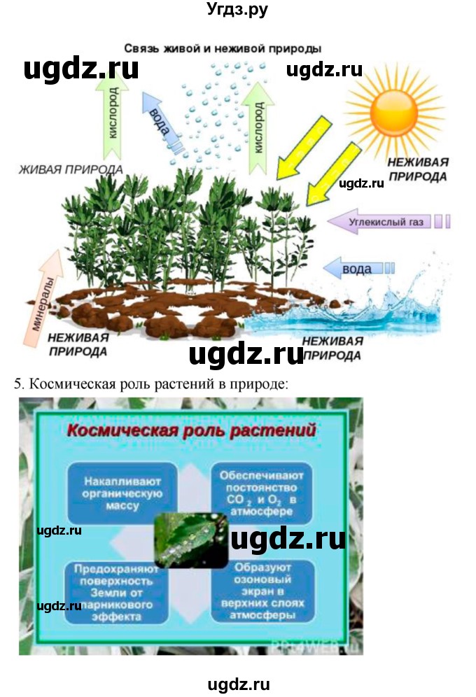 ГДЗ (Решебник 1) по биологии 7 класс Пономарева И.Н. / параграф номер / 27(продолжение 3)