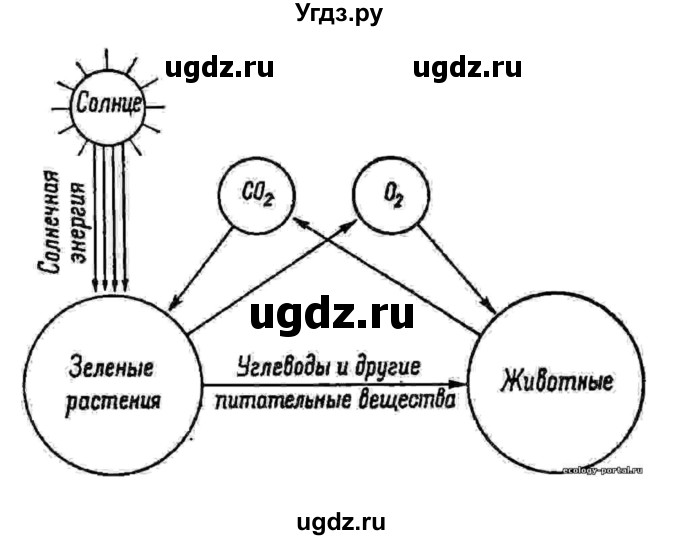 ГДЗ (Решебник 1) по биологии 7 класс Пономарева И.Н. / параграф номер / 27(продолжение 4)