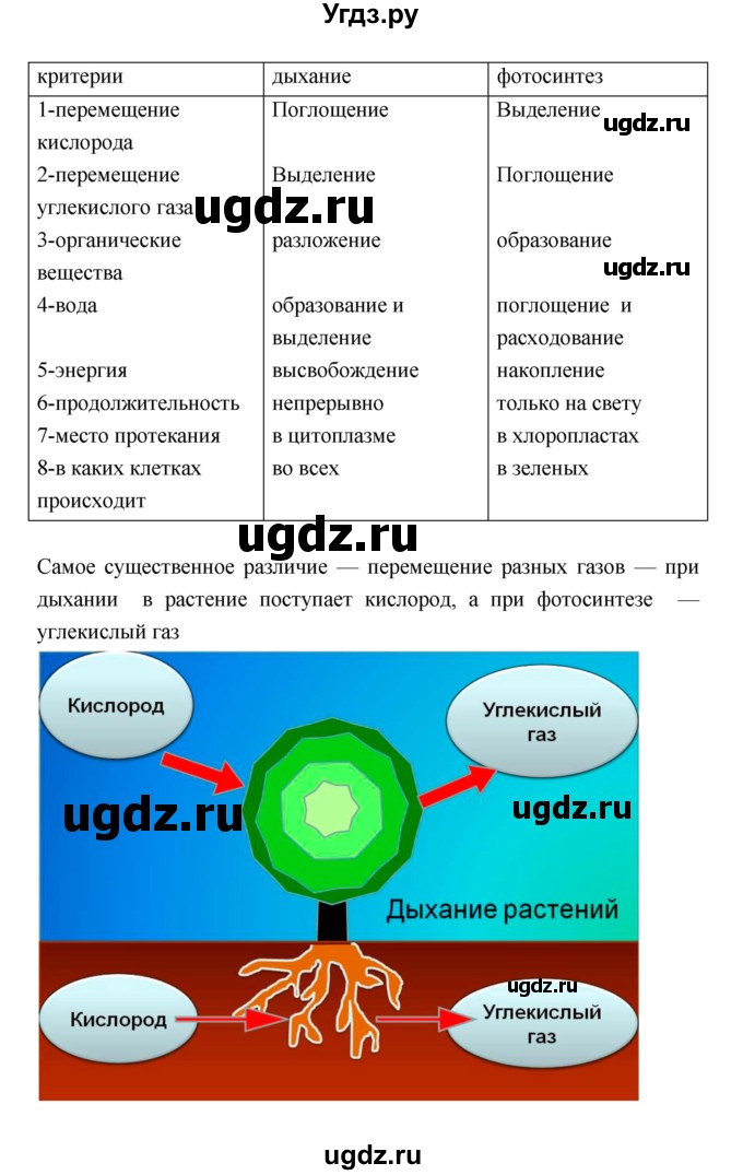 ГДЗ (Решебник 1) по биологии 7 класс Пономарева И.Н. / параграф номер / 28(продолжение 3)