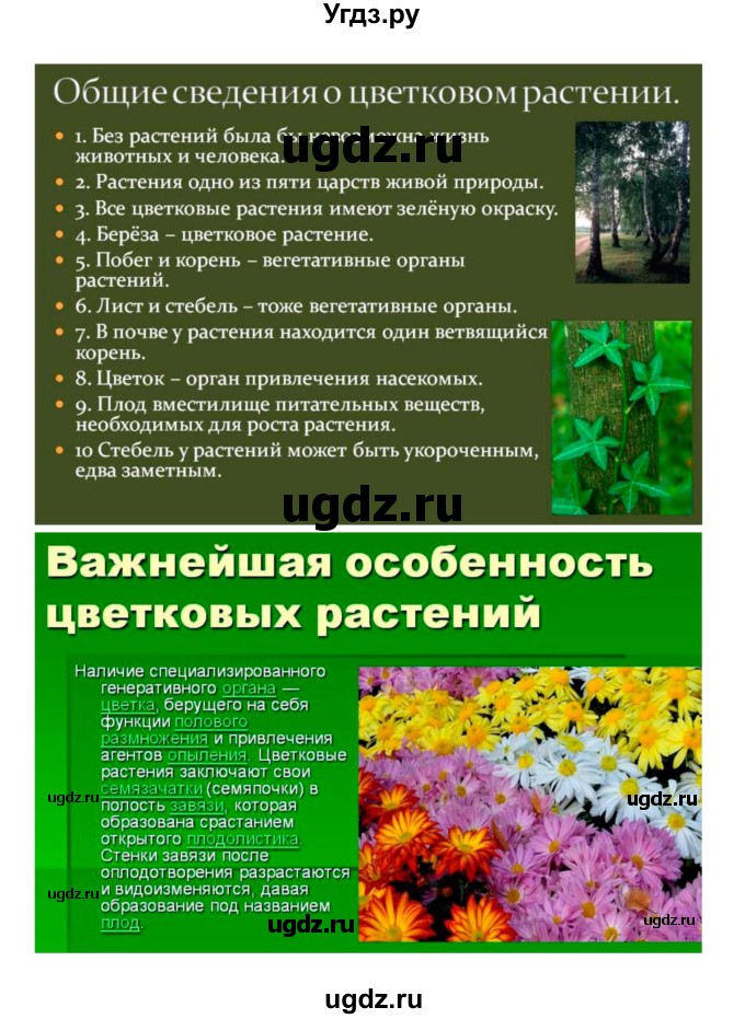 ГДЗ (Решебник 1) по биологии 7 класс Пономарева И.Н. / параграф номер / 3(продолжение 4)