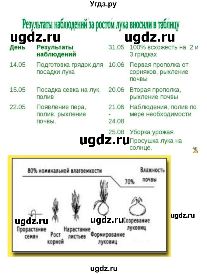ГДЗ (Решебник 1) по биологии 7 класс Пономарева И.Н. / параграф номер / 33(продолжение 2)
