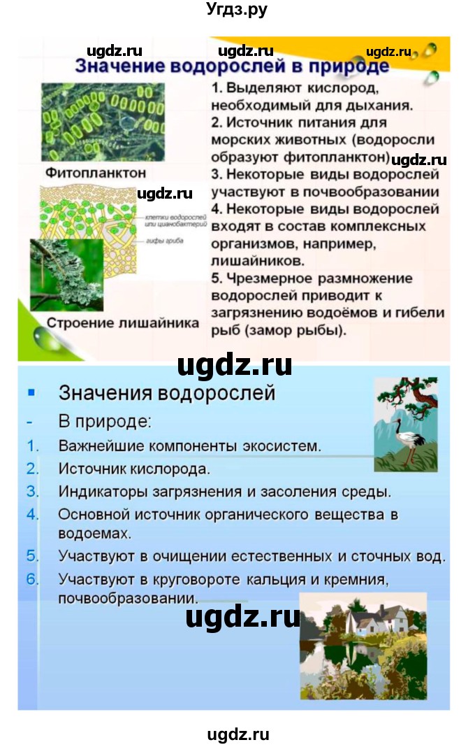 ГДЗ (Решебник 1) по биологии 7 класс Пономарева И.Н. / параграф номер / 36(продолжение 2)