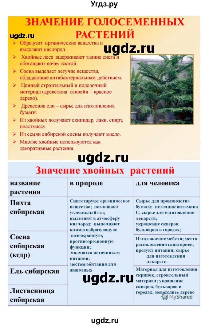ГДЗ (Решебник 1) по биологии 7 класс Пономарева И.Н. / параграф номер / 40(продолжение 3)