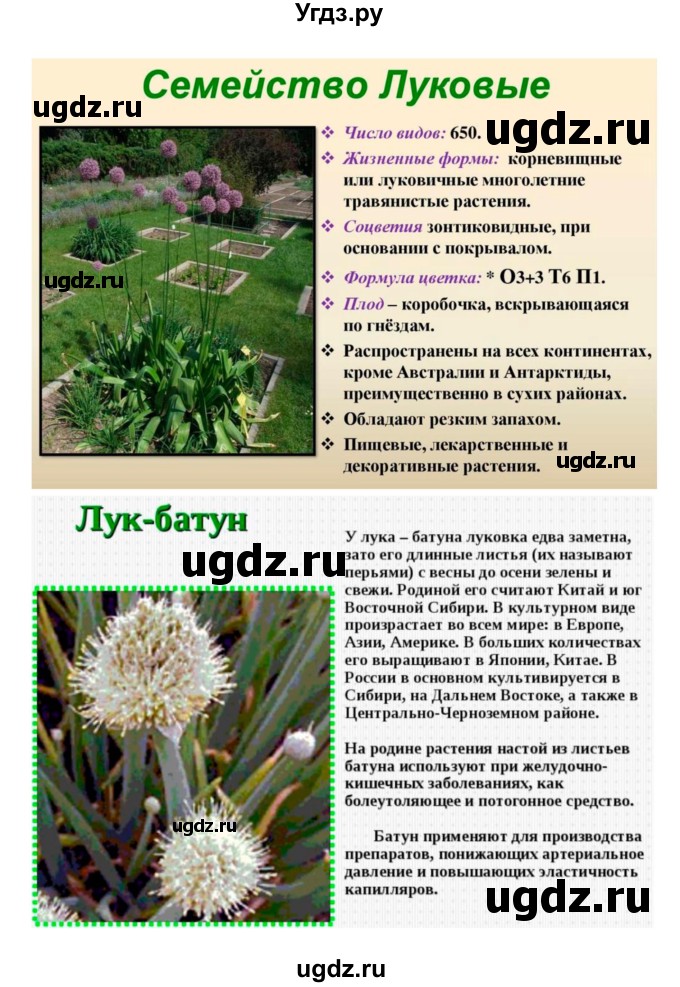 ГДЗ (Решебник 1) по биологии 7 класс Пономарева И.Н. / параграф номер / 43(продолжение 3)